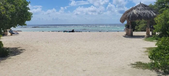 Aruba-Beaches-Mangel-Halto-2022-01-12-20-scaled-698x698x0x192x698x314x1730396695