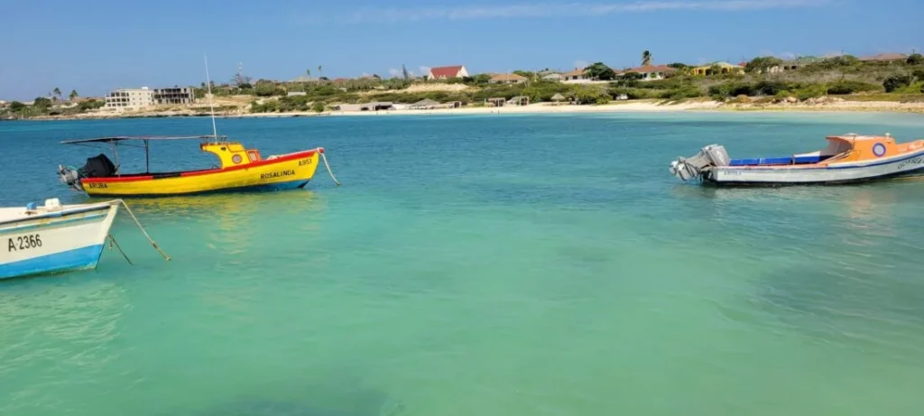 Aruba-Rogers-Beach-2022-01-08-16-scaled-1098x824x0x165x1098x494x1730396707