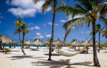 Manchebo-Beach-Aruba-360x288x0x6x360x229x1730396707