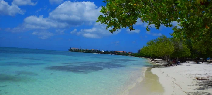 Surfside-Beach-aruba-698x523x0x105x698x314x1730396707